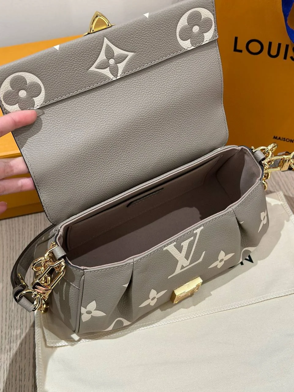 Жіноча сумка-Louis Vuitton